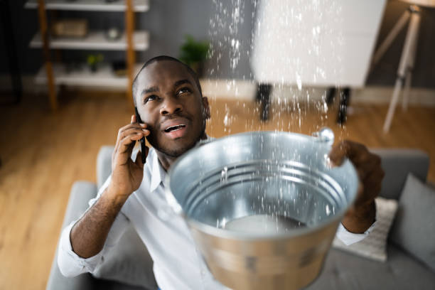 Best Sewage cleanup and water damage restoration  in Los Ranchos, CA