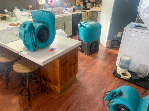 Best Sewage cleanup and water damage restoration  in Los Ranchos, CA