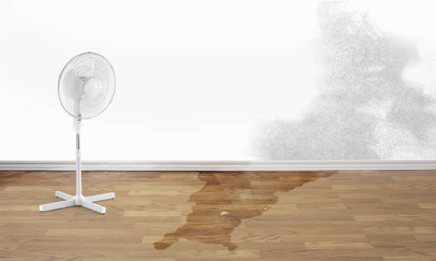 Sewage cleanup and water damage restoration in Los Ranchos, CA