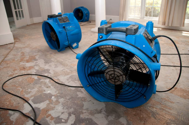Best Water damage cleanup near me  in Los Ranchos, CA