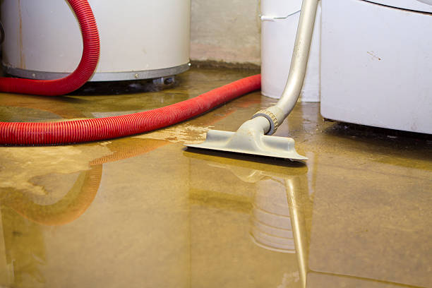 Water damage restoration mold remediation in Los Ranchos, CA