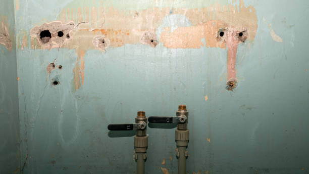 Best Water damage cleanup near me  in Los Ranchos, CA