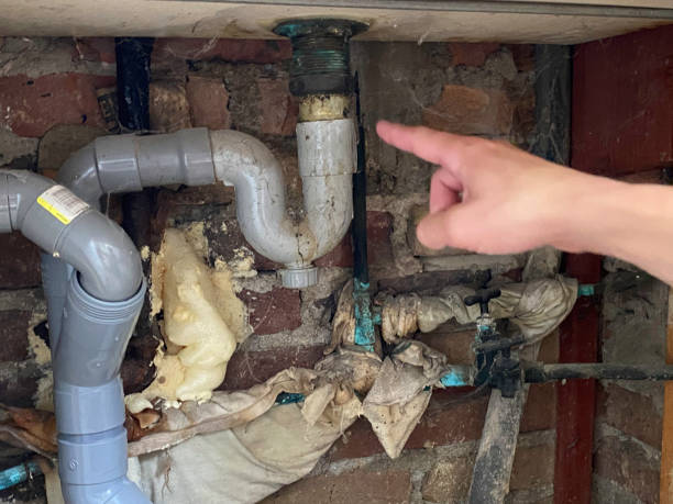 Best Carpet water damage restoration  in Los Ranchos, CA